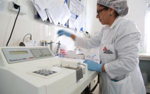 Drug-Resistant TB in Tajikistan: One of the most difficult aspects of peadiatric TB care is diagnostics. MSF supports laboratory activities in Dushanbe to assist in all stages of diagnosis. Here, a member of an MSF team prepares samples for testing.