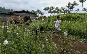  Displaced children playing in the open fields in Cambodia