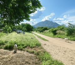 Ndamera, Nsanje district, Malawi