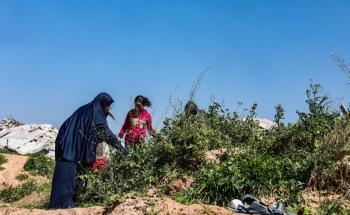 MSF, Doctors Without Borders, Displacement in Gaza