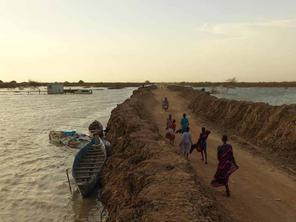 People walk on road between dykes