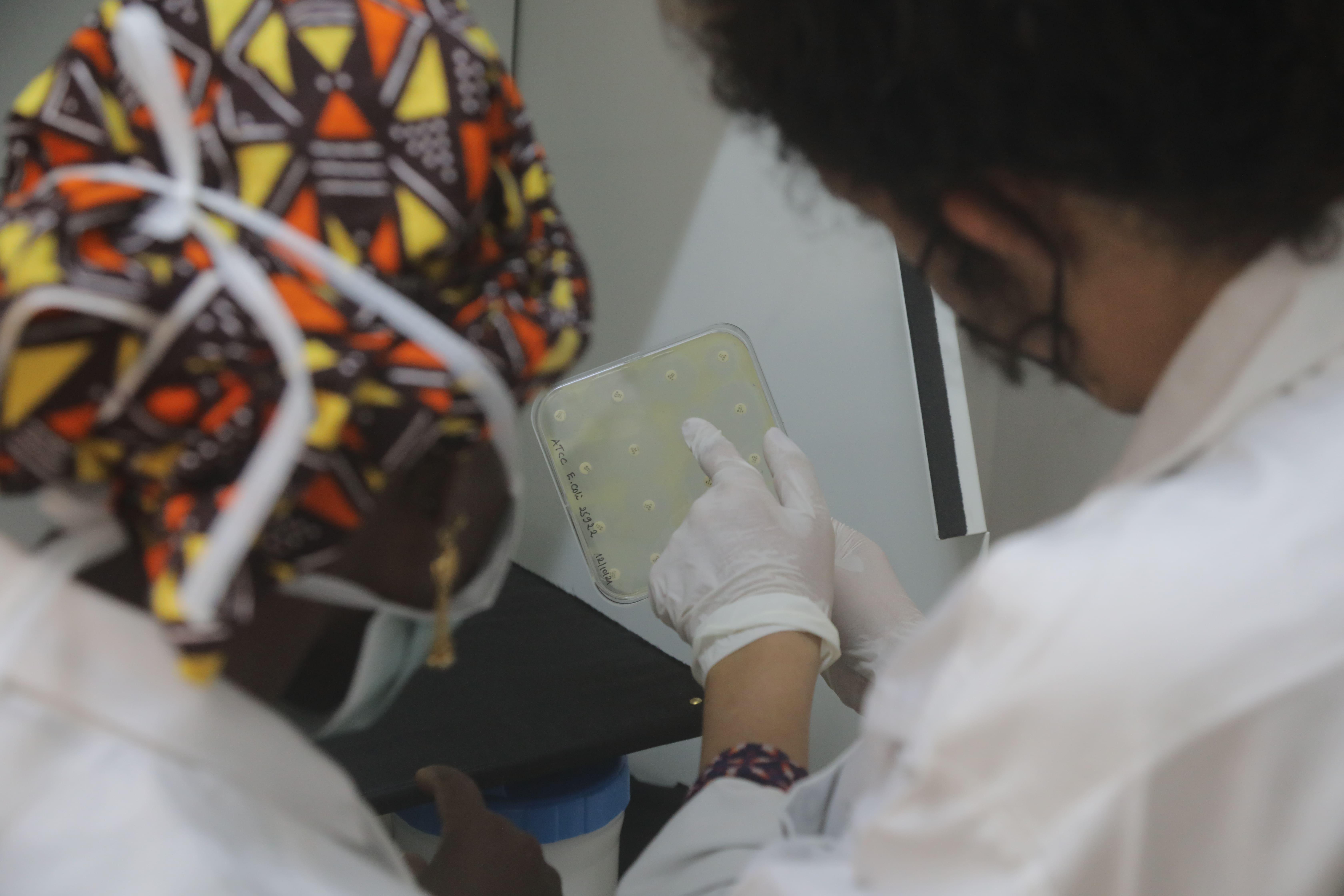 Dr. Nada Malou, program manager and clinical lead at the MSF Foundation, and Fatoumata Sagara, research assistant at the MSF Foundation in low-income countries like Mali, observe an antibiogram. 
