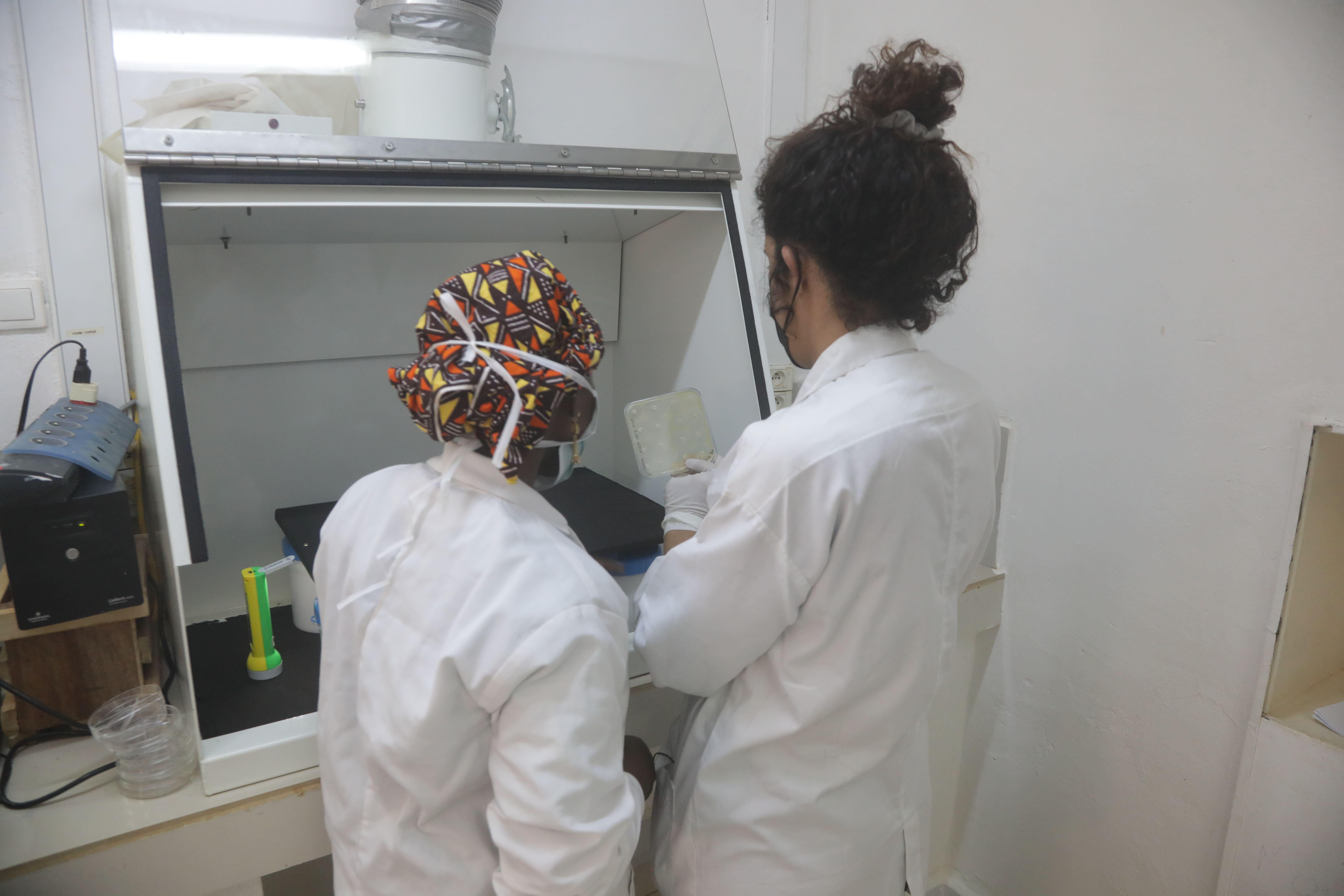Dr Nada Malou working alongside a technician in a lab, helping fight antibiotic resistant bacteria in low-income countries.