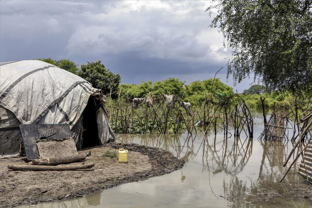 Flooded area in Pibor